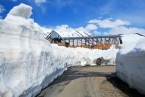 Rohtang Pass (if accessible) or Naggar Castle